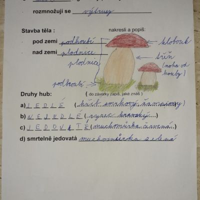 Krištofovy houby